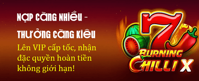 Chiến Thắng Cùng Wibo88